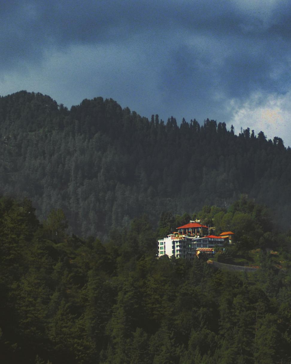 Contact Ignarion Crest